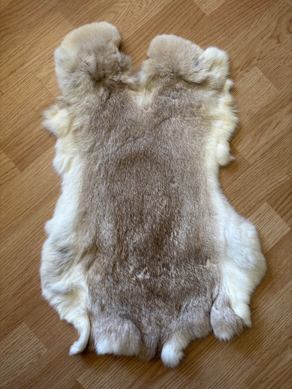 B0012 rabbit Fur Pelt - Cream and Tan crafts decor